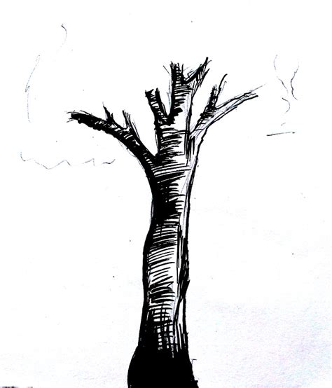 Sketsa Gambar Pohon Mangga Yang Mudah Digambar Keren