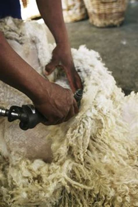 Processing Mohair