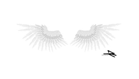 Wings GIF - Find & Share on GIPHY