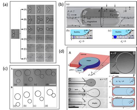 Confined Particles In Microfluidic Devices A Review Elveflow