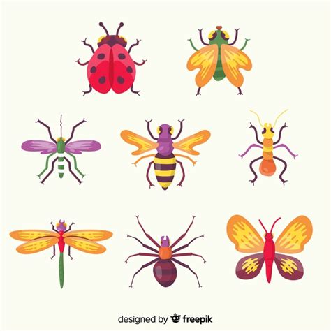 Free Vector Colorful Hand Drawn Insect Collection