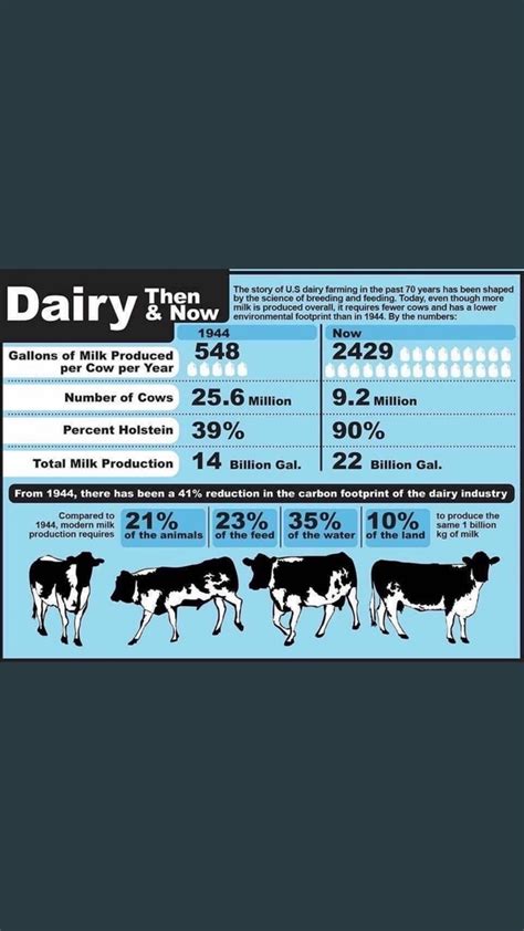 How Much Milk Does A Dairy Cow Produce In One Day
