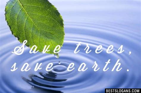 60 Amazing Save Trees Slogans In English For Kids And Adults Tree