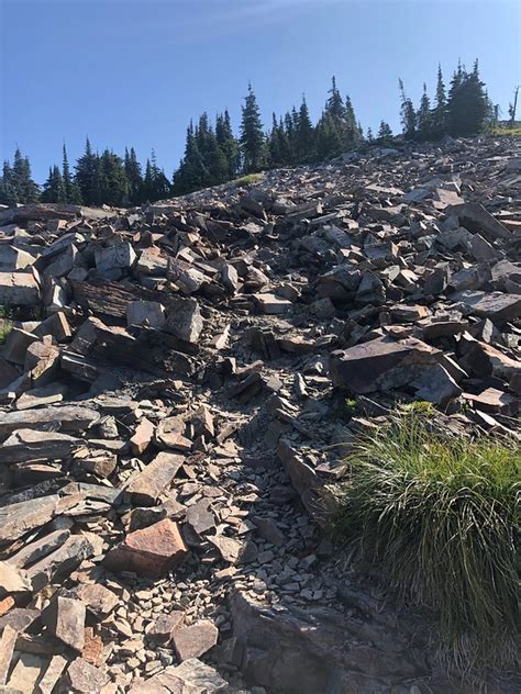 Hikes In Idaho Scotchman Peak Trail 65 On Walkabout