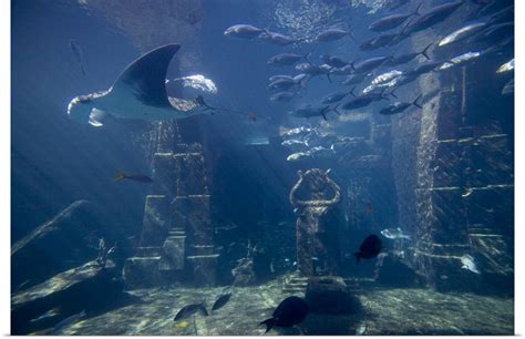 Great Big Canvas Bahamas Paradise Island Nassau Aquarium Inside
