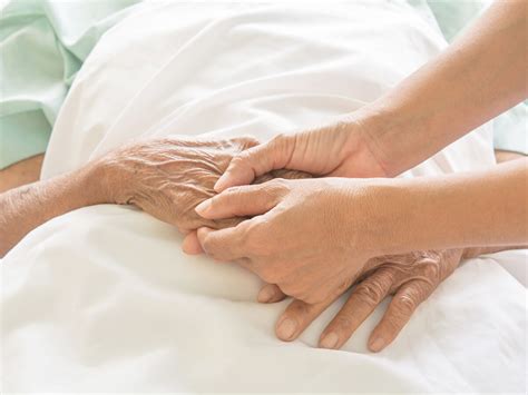 The Power Of Healing Touch In Caregiving Wisdom Of The Wounded