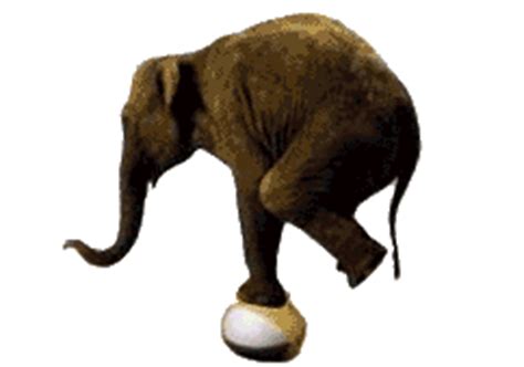 Elephants: Animated Images, Gifs, Pictures & Animations ...
