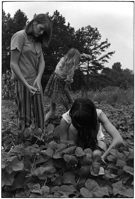 Looking At Appalachia William Gedney Part One Walk Your Camera