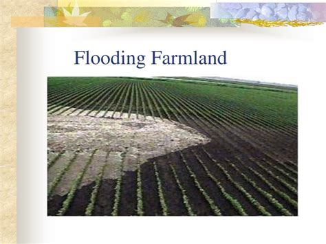 Ppt The Great Flood Of 1993 Powerpoint Presentation Free Download