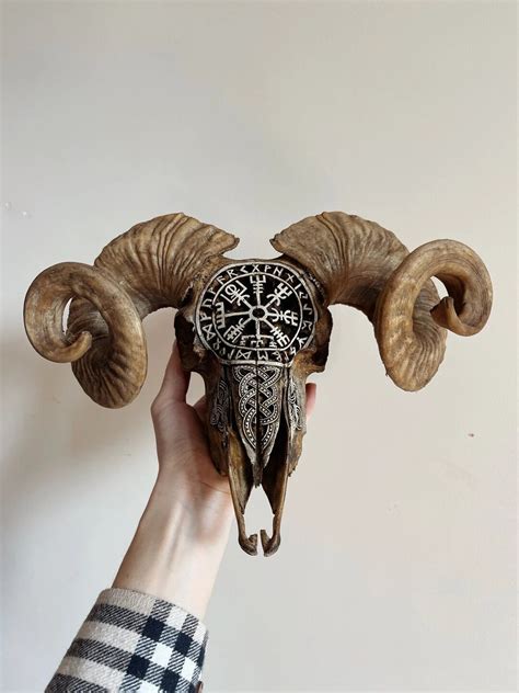 Real Ram Skull With Hand Carving Taxidermy Vegvisir Etsy