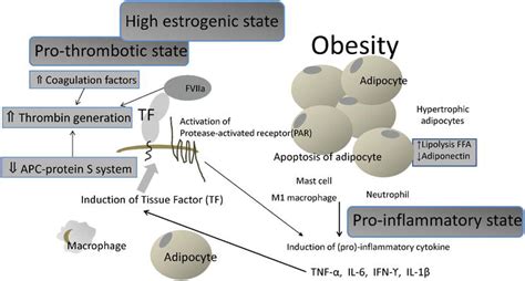 metabolic syndrome and pathogenesis of obesity related adverse outcomes in pregnancy intechopen
