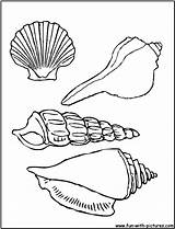 Coloring Sea Printable Shells Seashell Seashells Colouring Fun Sheets Printables Templates Fish sketch template