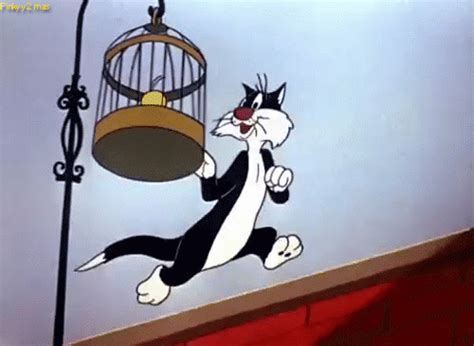 Póster piolín vs silvestre, looney tunes. Whole-imagen: El gato Silvestre y su nuevo vecino Piolin