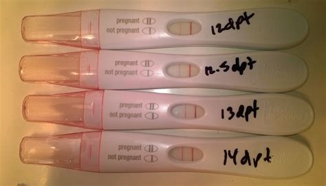 What Does A Positive Pregnancy Test Really Look Like Page 9 — The Bump