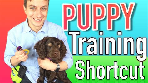 The Puppy Training Shortcut Clicker Training Explained Youtube