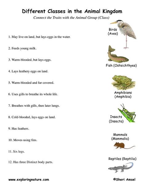 Animal Classification Quiz Page I Love This Web Site Not Free But