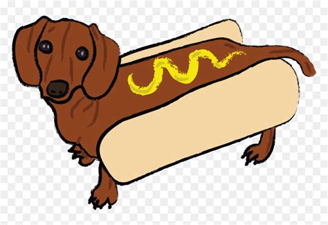 Weiner Dog In Hot Dog Costume Bmp We