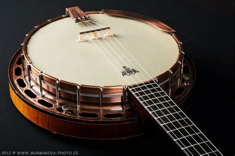 Čapek instruments | Banjo, Instruments, Music instruments