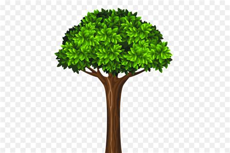 Gambar Pohon Hijau Kartun Gambar Bagian Tumbuhan