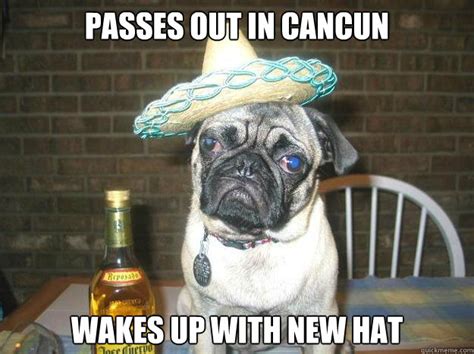 Goes All The Way To Mexico Drinks Jose Cuervo Vacation Dog Quickmeme
