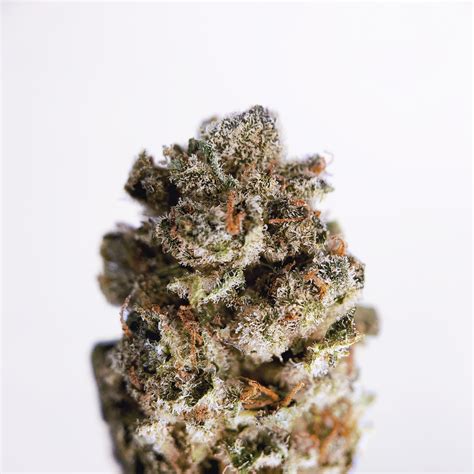 Originally from the famous cookie fam of the bay area, gelato is a cross between sunset sherbet and thin mint gsc. Gelato 33 Top Shelf - District Connect - Washington DC i71 ...