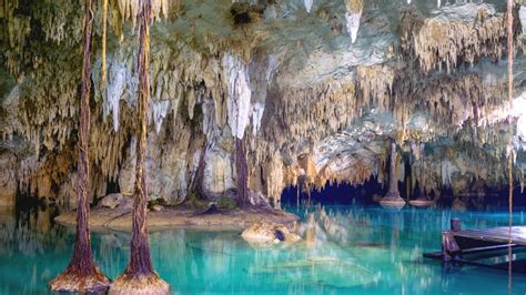 Bucea En Uno De Los Cenotes Más Enigmáticos Del Mundo Sac Actún Top