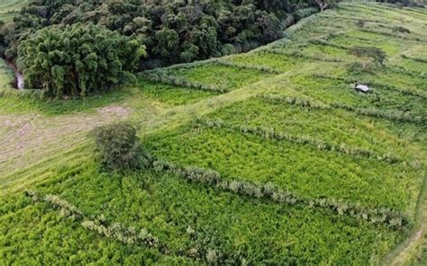 Agricultura regenerativa sustentável e rentável para o produtor rural