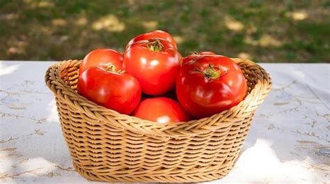 Astuces Pour Faire Pousser Plus De Tomates Plus Grosses Et Plus