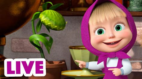 🔴 live stream 🎬 masha and the bear 🥧🍗 what s for dinner 🥧🍗 youtube