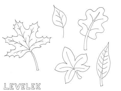 Talán a virágok esnek le és szállítanak, csak csatlakoztassák az ágakat. levél rajz, drawing leave, coloring page, színező | Rajzok