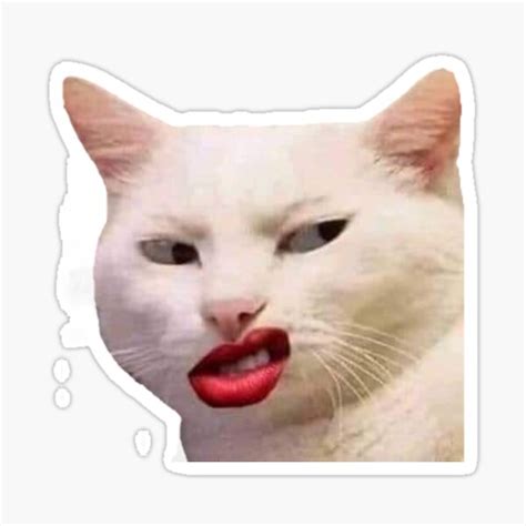 Funny Cat With Lipstick Meme Face Memes Sticker For Sale By Pusla