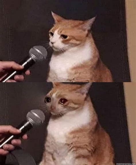 A Crying Cat With A Microphone Create Meme Meme Generator Meme