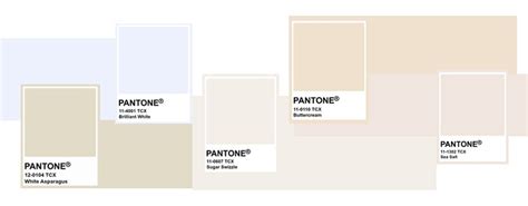 Pantone Bright White In Pantone Colour Palettes Pantone Color Sexiz Pix