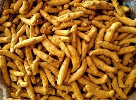 Organic Turmeric Finger Packaging Size 1 Kg At Rs 150 Kg In Nanded