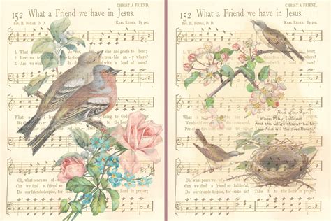 Vintage Birds Backgrounds By The Paper Princess Thehungryjpeg