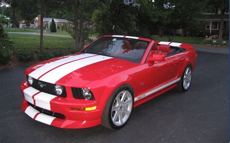 Another Stripes Opinion Thread Lol Ford Mustang Forum