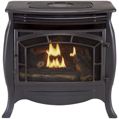 Charmglow Propane Fireplace Fireplace Ideas