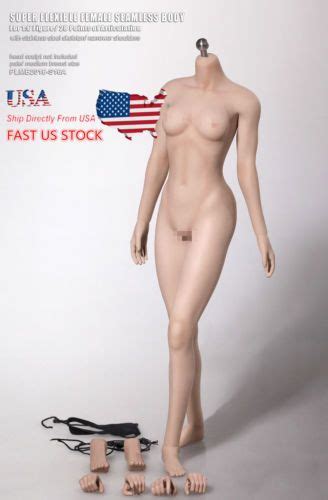 Usa Sell Tbleague Phicen Female Seamless Medium Bust Pale Body