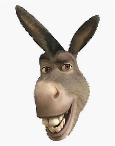 Donkey Face Clip Art Clipart Donkey From Shrek Png Free Transparent