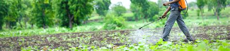 Where do you need bug & insect control pros? San Diego Exterminator | Imperial Beach Pest Control | Harbor