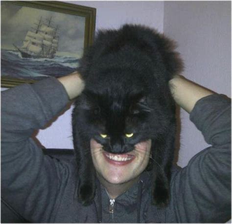 Batman Cat Face Catman Funny Pictures And Best