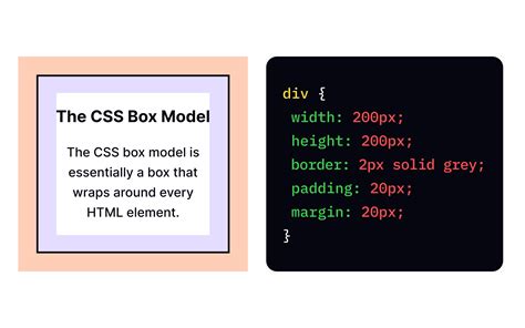 Css Box Model Lesson Uxcel