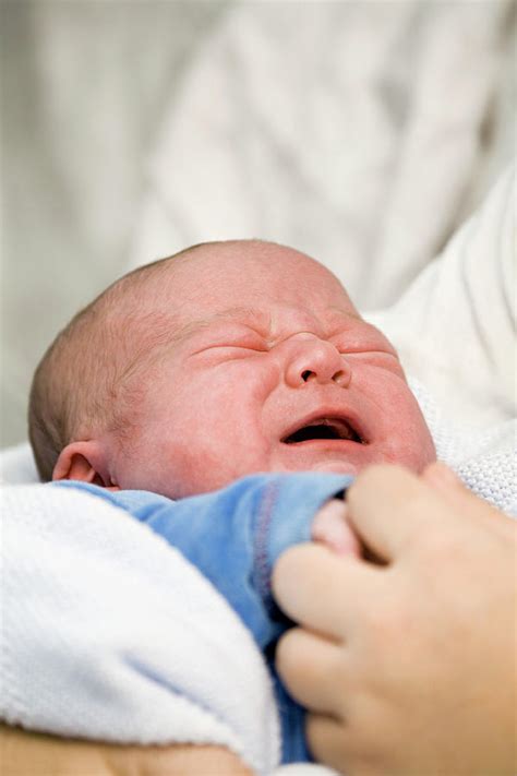 Newborn Baby Crying Photograph By Samuel Ashfieldscience Photo Library