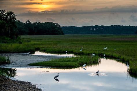 Sunrise Over The Marsh Photograph By Denis Therien Fine Art America