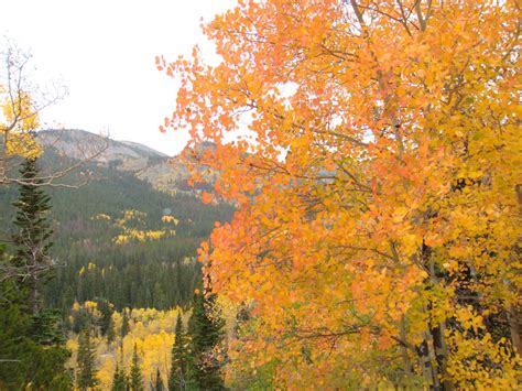 Fall Foliage In Colorado 5 Colorful Adventures Near