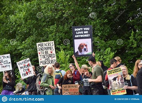 Mbr Acres Beagles Protest Huntingdon Cambridgeshire Editorial Image