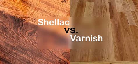 shellac  varnish