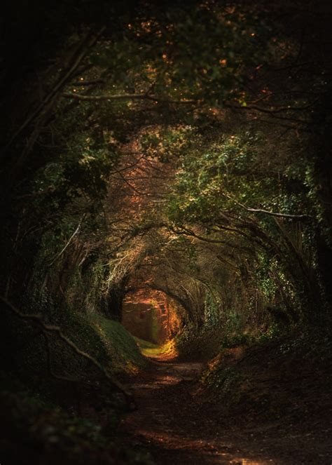 Mystical Path Poster By Conceptual Photography Displate Dark