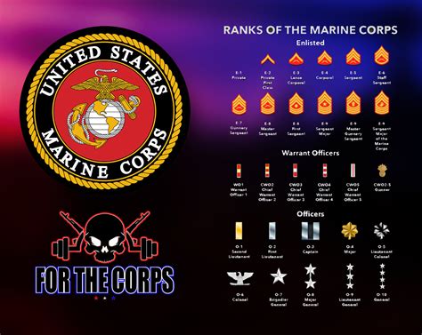 Enlisted Ranks Usmc Ranks Marine Corps Ranks Army Medals Porn Sex Picture