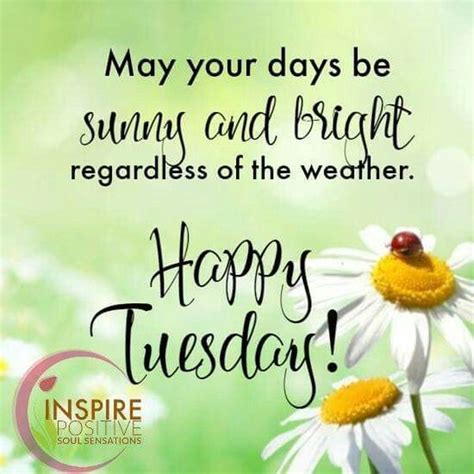 Tuesday is just a start of the week. Happy Tuesday Quotes and Images